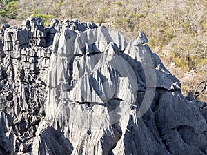 Bizarre limestone rock formations - Tsingy, reserve Ankarana, Madagascar