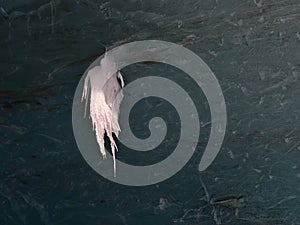 Bizarre looking icicle hanging down from the ceiling of the Sapphire Ice Cave in BreiÃ°amerkurjÃ¶kull glacier, south Iceland.