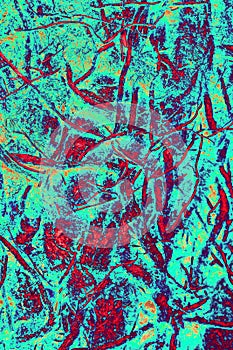 The bizarre plexus of the bare roots of a tree. Changed color scheme.