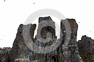 Bizarre rock formation. Alkefjellet, one of the largest and most spectacular bird cliffs on Svalbard.