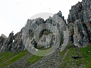 Bizarre rock formation. Alkefjellet, one of the largest and most spectacular bird cliffs on Svalbard.