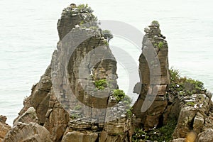 Bizarre rock formed by erosion Punakaiki, New Zealand South Island