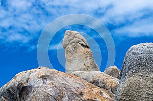 Bizarre Rock (Hin Ta Rock) on blue sky, Samui Island , Surat thani ,Thailand