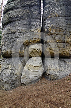 Bizarre Sandrock In The Forest