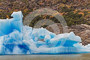 A bizarrely shaped iceberg in front of autumnal trees on Grey Glacier, Chile, Patagonia