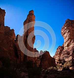 Bizzare rock formation at Essendilene, Tassili nAjjer national park, Algeria