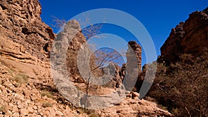 Bizzare rock formation at Essendilene, Tassili nAjjer national park, Algeria