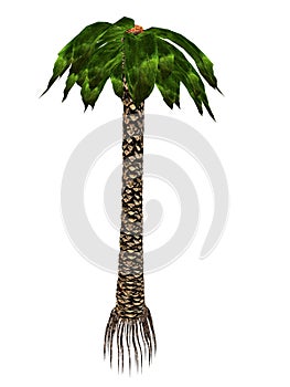 Bjuvia simplex prehistoric tree - 3D render