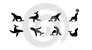 Set of pack Black seal sea animal with simple shilouette logo icon designs vector illustration photo