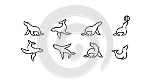 Set of pack Black outline line seal sea animal with simple shilouette logo icon designs vector illustration photo
