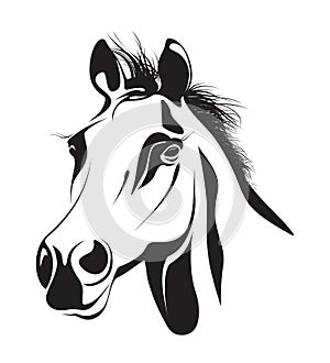 Abstract horses head