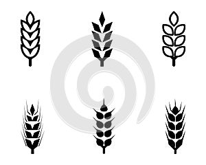 Black abstract wheat ears hand drawn set