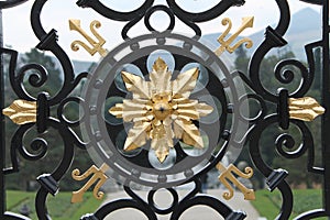 Black ad gold wrought iron gate