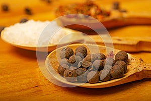 Black allspice, coarse salt and various ground spices in wooden spoons on a wooden Board. Close up