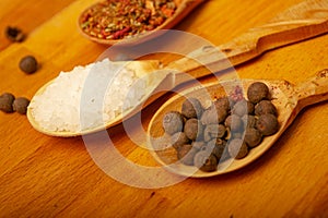 Black allspice, coarse salt and various ground spices in wooden spoons on a wooden Board. Close up.