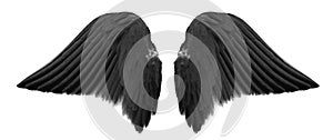 Black angel wings