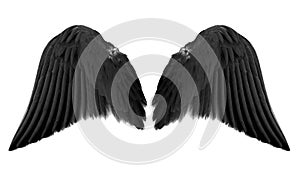 Black angel wings