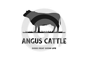 Black Angus Cow Cattle Farm Livestock for Beef Logo Design