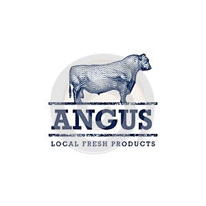 Black Angus Cow Engraving Illustration. Fresh Local Farm Food Design Element. Ranch Bull Vector Sign