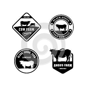 black angus logo design template. cow farm logo design