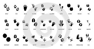 Black animal tracking footprints. Isolated wild animal paws prints, lizard, crocodile and cat. Reptile and bird foots