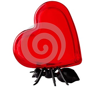 Black Ant Character Carrying Glass Red Valentines Day Heart