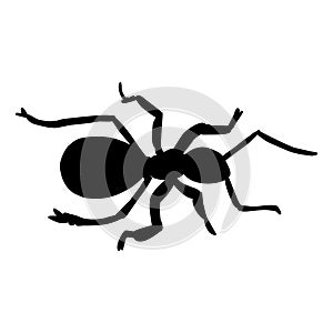 Black ant close up, silhoette. Vector