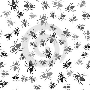 Black Ant icon isolated seamless pattern on white background. Vector