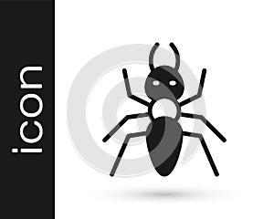 Black Ant icon isolated on white background. Vector