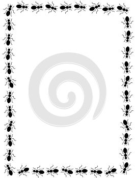 Black ants border / frame