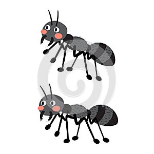 Black ants cartoon character.