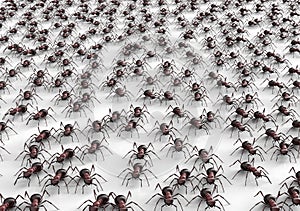 Black ants isolated on a white background