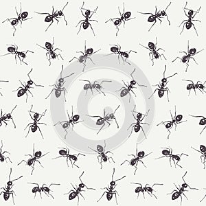 Black ants on a white background. Vector seamless pattern