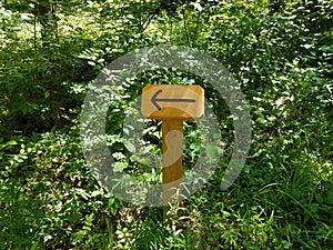 Black arrow on wood sign and green plants