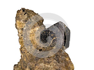 Black augite crystal on matrix