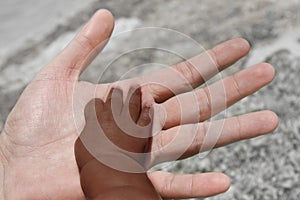 Black baby's hand on adult's palm