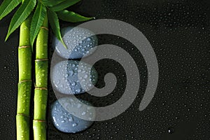 Black background with bamboo branch with foliage on the left and gray pebbles zen with drops of water