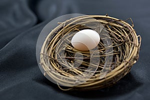 Black background highlights small nest egg as symbol of growth