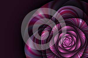 Black background with pink rose. Flower texture, fractal pattern