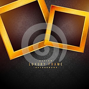 Black background with two golden frames