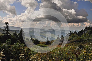 Black Balsam Knob photo