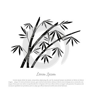 Black bamboo silhouette on a white background