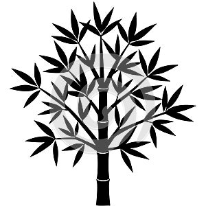 Black Bamboo Tree Silhouette