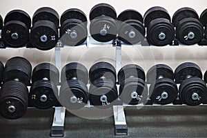 Black Barbells at the gym photo