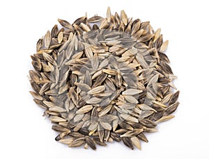 Black barley seeds