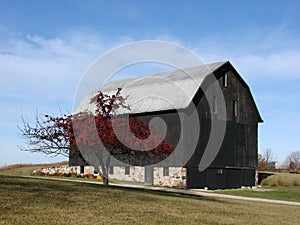 Black barn
