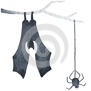 Black bat upside down on a tree branch with a spider descending. Happy Halloween party. Hand drawing watercolor isolated clip art