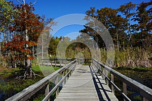 Black Bayou Lake img