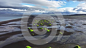 Black Beach in Iceland Aerial View, Green Grass Grow From Black Sand, Unearthly Landscape