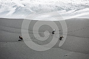 Black Beach, Vik, Iceland